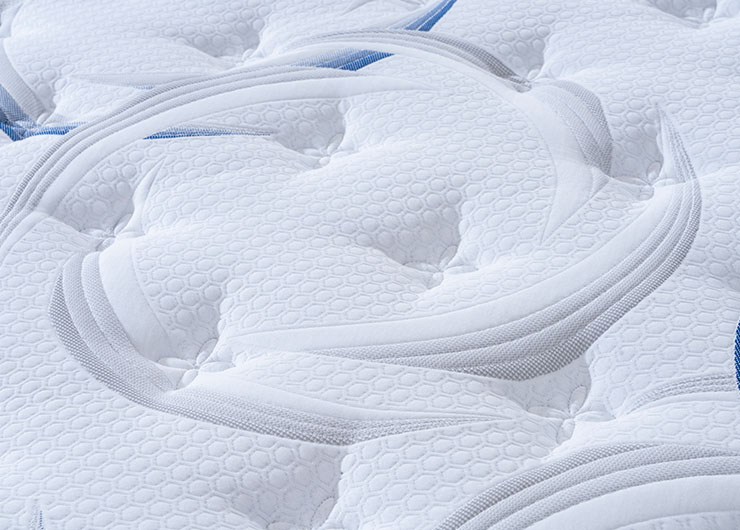 22_0001_dsc6241 拷贝